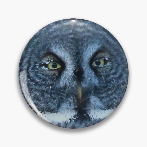 Item preview, Great Gray Owl Perched in Woodland Habitat designed and sold by locustgirl.