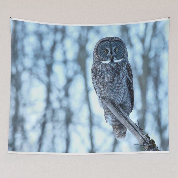 Item preview, Great Gray Owl Perched in Woodland Habitat designed and sold by locustgirl.