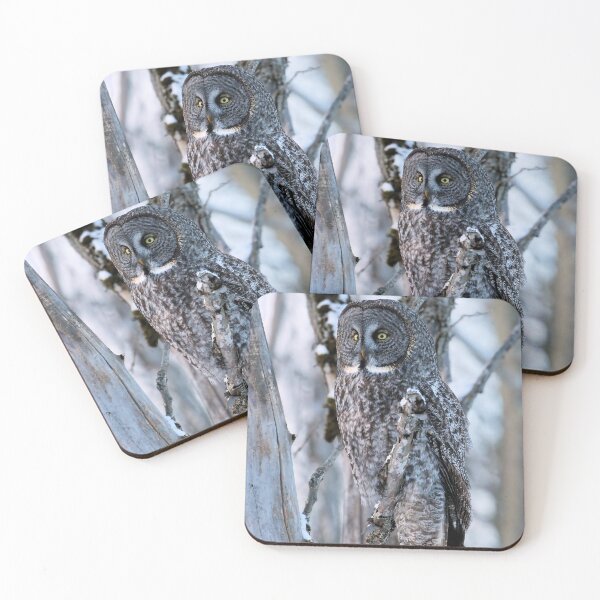 Item preview, Great Grey Owl in Woodland Stillness designed and sold by locustgirl.