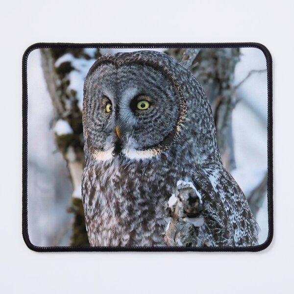 Item preview, Great Grey Owl in Woodland Stillness designed and sold by locustgirl.