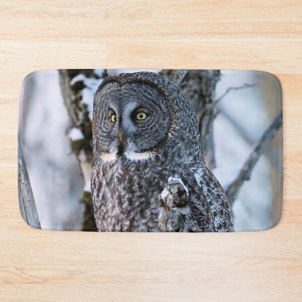 Item preview, Great Grey Owl in Woodland Stillness designed and sold by locustgirl.