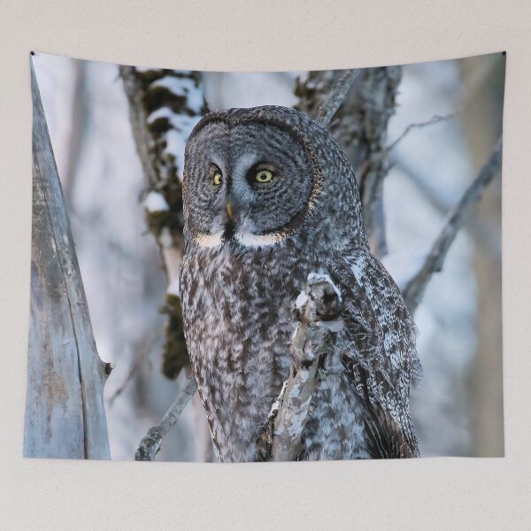 Item preview, Great Grey Owl in Woodland Stillness designed and sold by locustgirl.