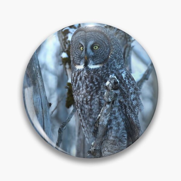 Item preview, Great Gray Owl Watching from the Woods designed and sold by locustgirl.