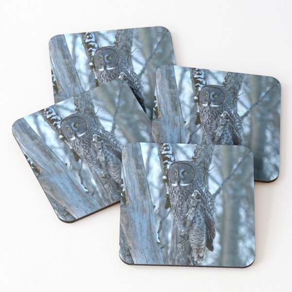 Item preview, Great Gray Owl Watching from the Woods designed and sold by locustgirl.