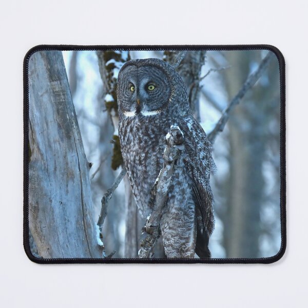 Item preview, Great Gray Owl Watching from the Woods designed and sold by locustgirl.