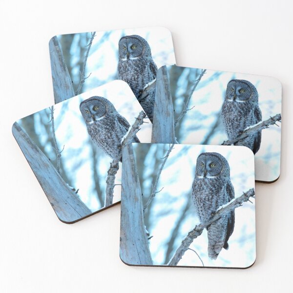 Item preview, Great Grey Owl in Silent Forest designed and sold by locustgirl.