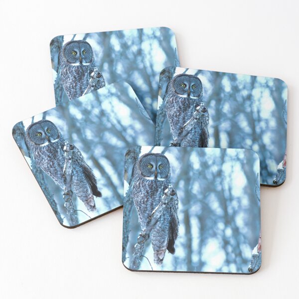 Item preview, Great Gray Owl in the Northern Forest designed and sold by locustgirl.
