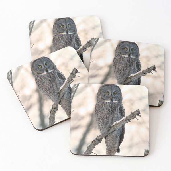 Item preview, Great Grey Owl in the Boreal Forest designed and sold by locustgirl.