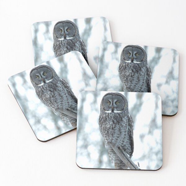 Item preview, Great Gray Owl at Forest’s Edge designed and sold by locustgirl.