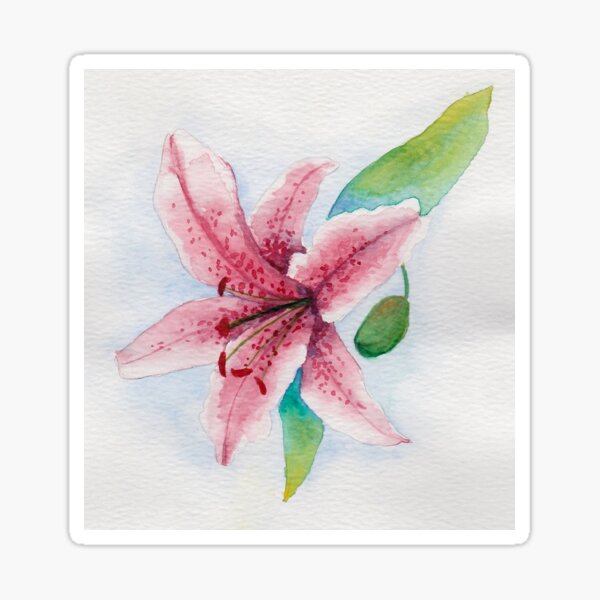 Pink Lily Sticker