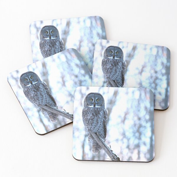 Item preview, Great Grey Owl in Silent Forest designed and sold by locustgirl.