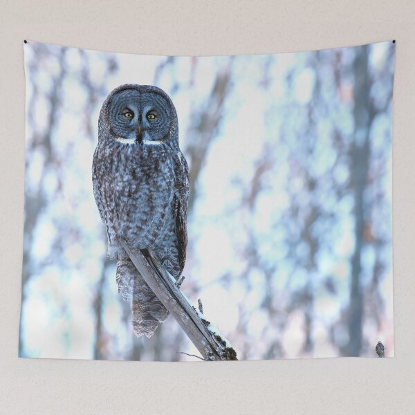 Item preview, Great Grey Owl in Silent Forest designed and sold by locustgirl.