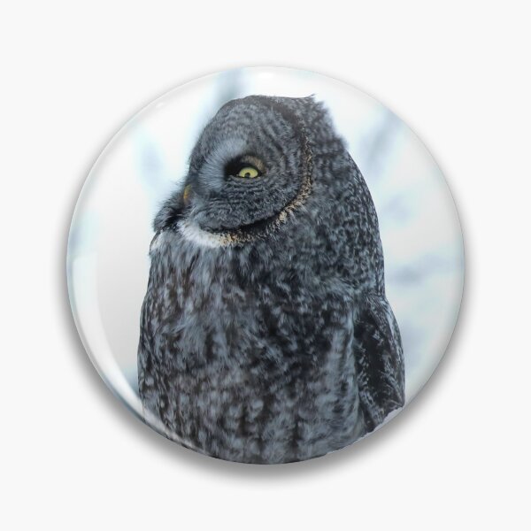Item preview, Great Grey Owl Perched designed and sold by locustgirl.