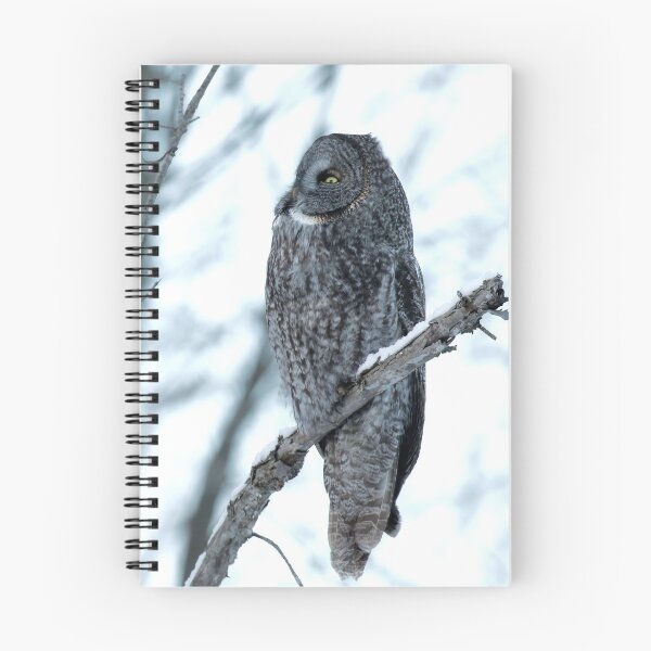 Item preview, Great Grey Owl Perched designed and sold by locustgirl.