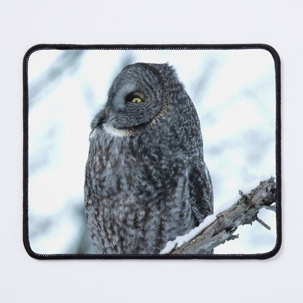 Item preview, Great Grey Owl Perched designed and sold by locustgirl.