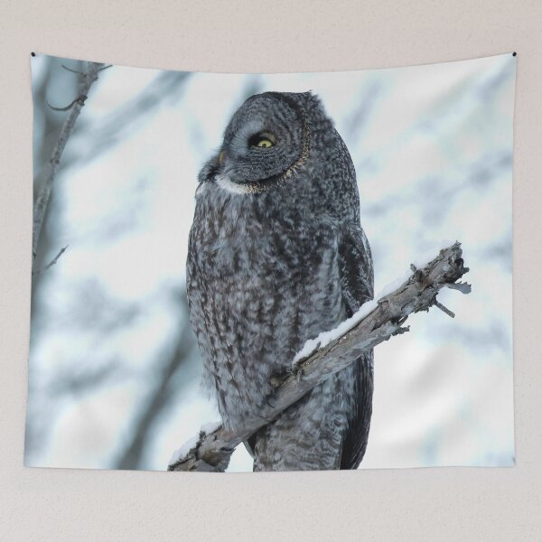 Item preview, Great Grey Owl Perched designed and sold by locustgirl.