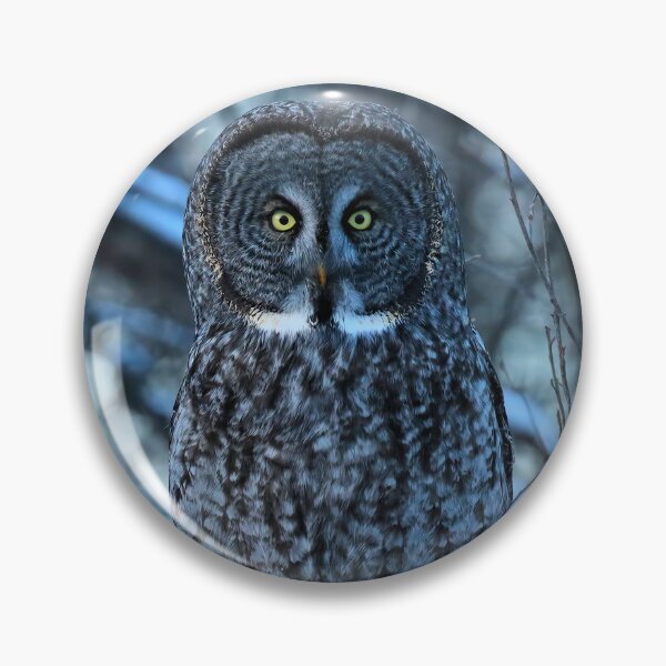 Item preview, Great Grey Owl Watching from the Woods designed and sold by locustgirl.