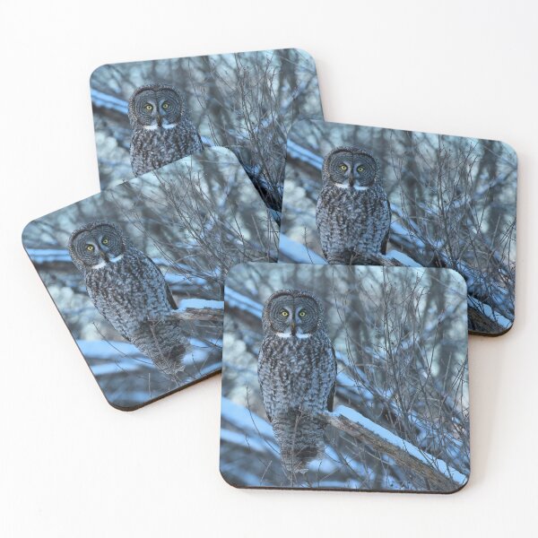 Item preview, Great Grey Owl Watching from the Woods designed and sold by locustgirl.