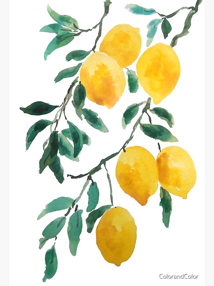 Big Lemon Art Print Simple Modern Bright Fruit Yellow Nursery