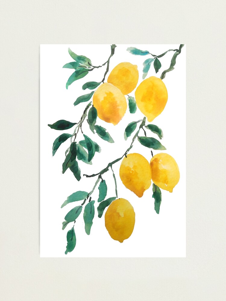 Alternate view of yellow lemon watercolor Photographic Print