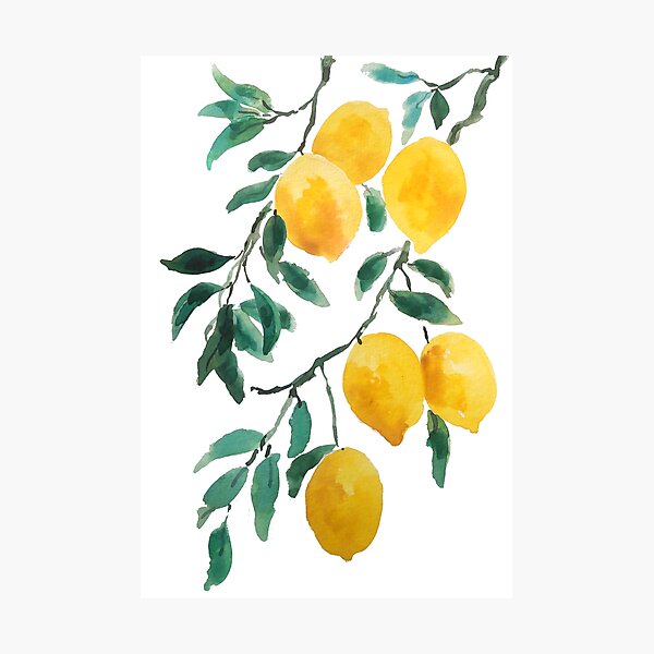 Honey Bee & Lemon Nursery Home Decor Art Print Printable Citrus