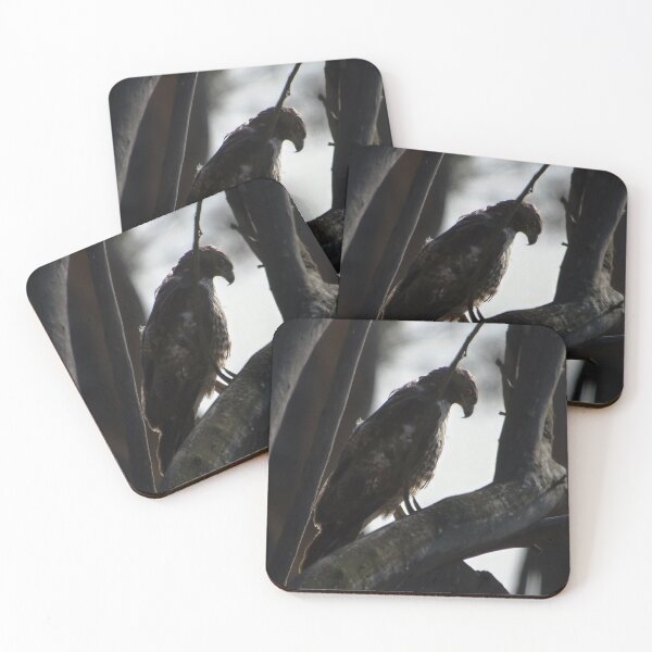 Item preview, Hawk in the Forest designed and sold by Blue Pacific Fury.