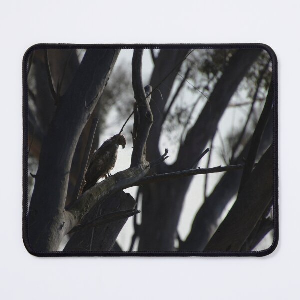 Item preview, Hawk in the Forest designed and sold by Blue Pacific Fury.