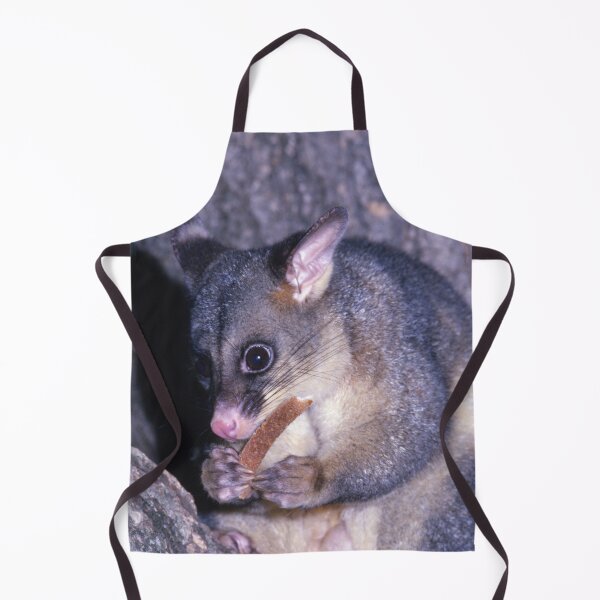 Item preview, Snack Time for a Sweet Possum designed and sold by AnalogDays.
