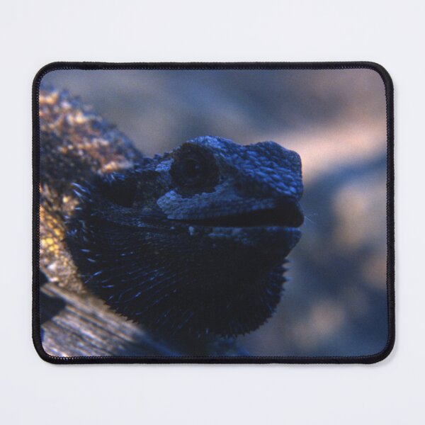 Item preview, Smiling Bearded Dragon designed and sold by AnalogDays.