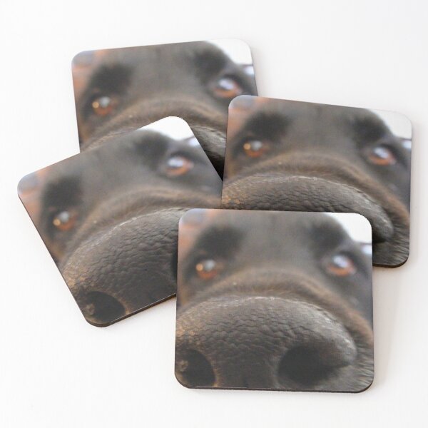 Item preview, Cute curious dog with nose in camera designed and sold by AK Designs LLC of New Hampshire.
