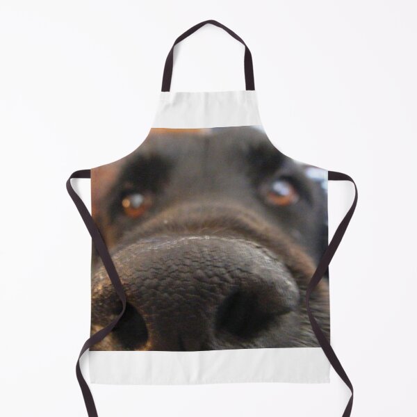 Item preview, Cute curious dog with nose in camera designed and sold by AK Designs LLC of New Hampshire.