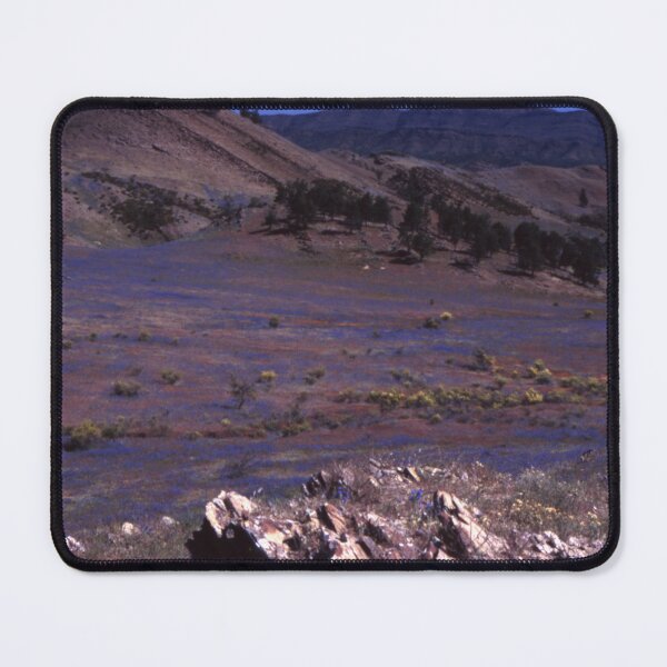 Item preview, Flinders Ranges: Ancient Rugged Peaks and Wildflowers designed and sold by AnalogDays.