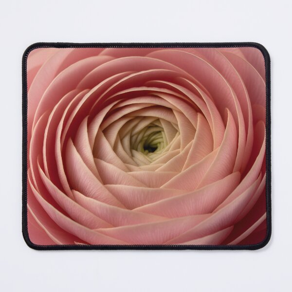 Item preview, Macro photograph of a delicate pink ranunculus flower designed and sold by homydesign.