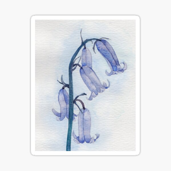 Bluebells watercolour Sticker