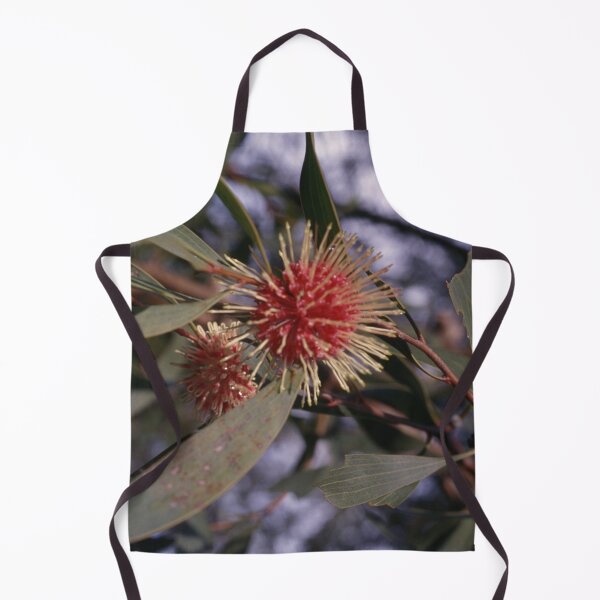 Item preview, Spiky Hakea Splendor designed and sold by AnalogDays.