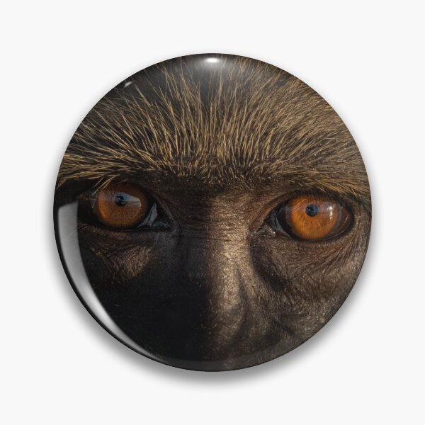 Item preview, A Curious Stare designed and sold by Paul McFarlane.