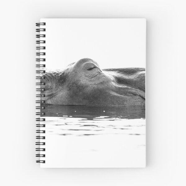 Item preview, Hippo Highlight designed and sold by Paul McFarlane.
