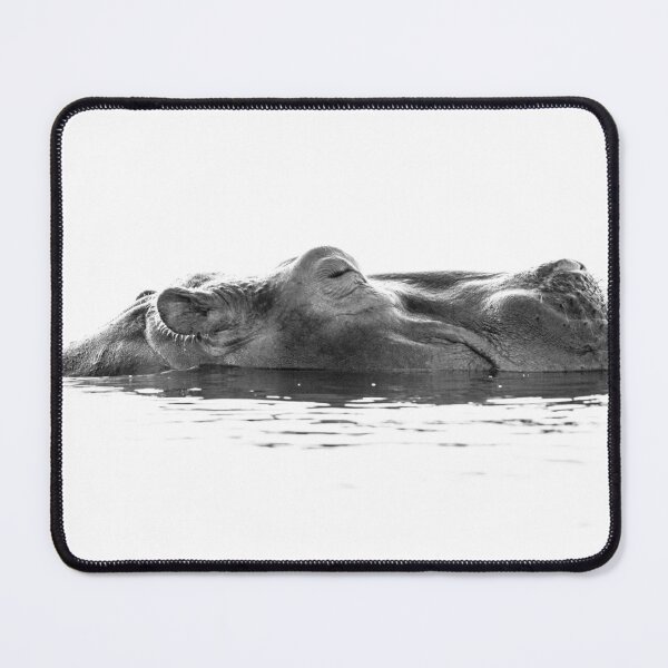 Item preview, Hippo Highlight designed and sold by Paul McFarlane.