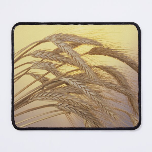 Item preview, Cosecha de trigo dorado designed and sold by AnalogDays.