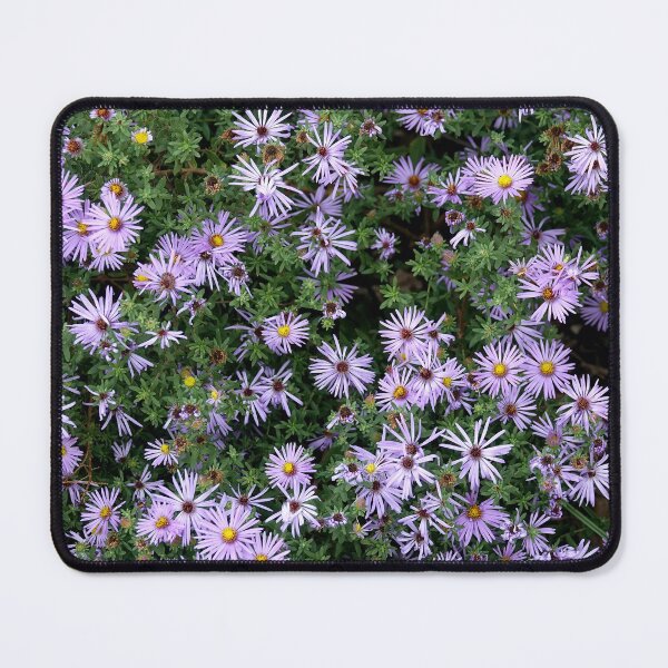 Item preview, Fall Asters designed and sold by MoodyMuseArt.
