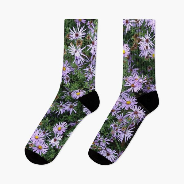 Item preview, Fall Asters designed and sold by MoodyMuseArt.