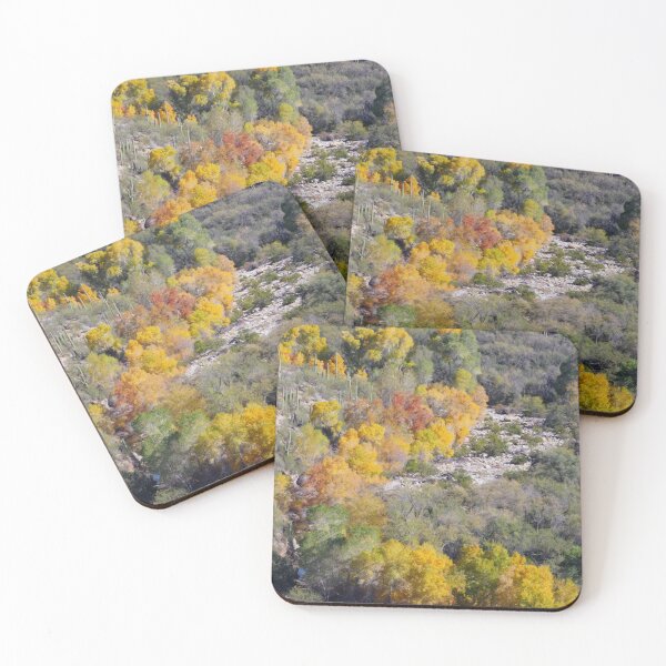 Item preview, Hermosos árboles de otoño Cactus saguaro designed and sold by simonjayphotos.