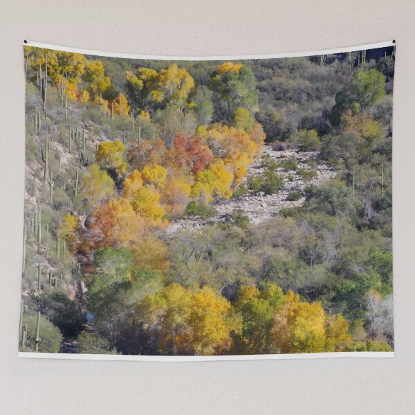 Item preview, Lovely Fall Trees Saguaro Cacti designed and sold by simonjayphotos.