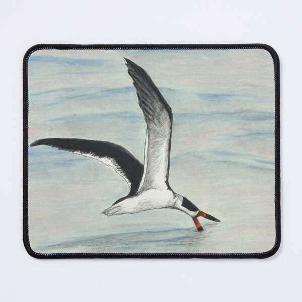 Item preview, Black Skimmer drawing designed and sold by skwinnicki.