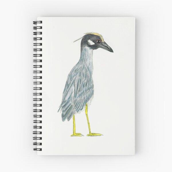 Item preview, Yellow-crowned Night Heron drawing designed and sold by skwinnicki.
