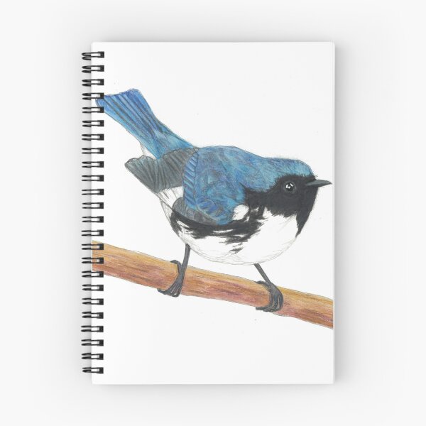 Item preview, Black-throated Blue Warbler drawing designed and sold by skwinnicki.