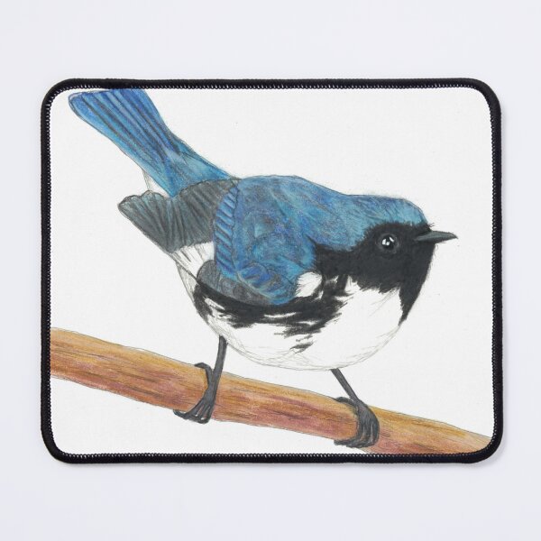 Item preview, Black-throated Blue Warbler drawing designed and sold by skwinnicki.