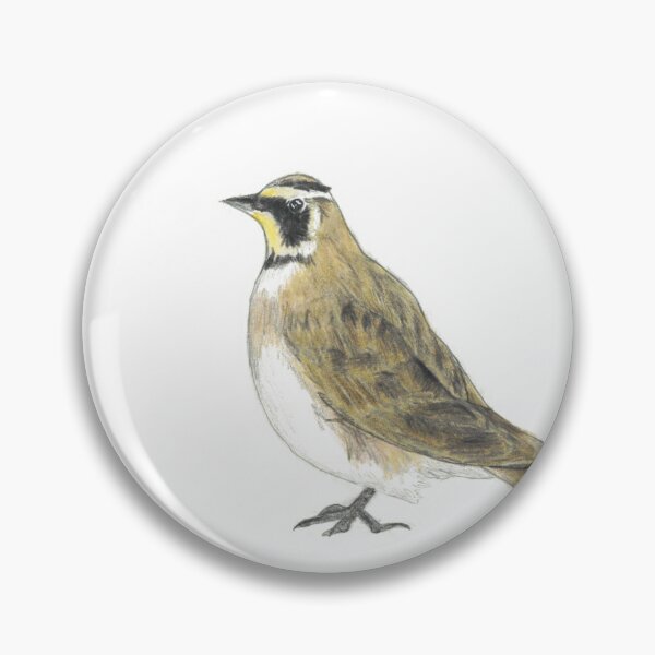 Item preview, Horned Lark drawing designed and sold by skwinnicki.