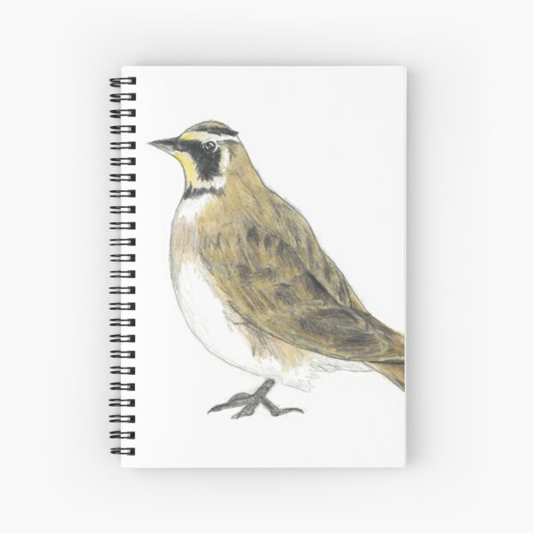 Item preview, Horned Lark drawing designed and sold by skwinnicki.