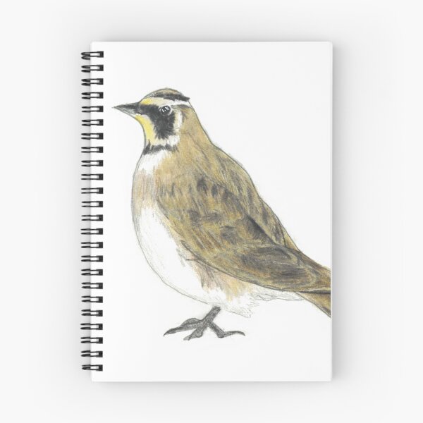 Item preview, Horned Lark drawing designed and sold by skwinnicki.